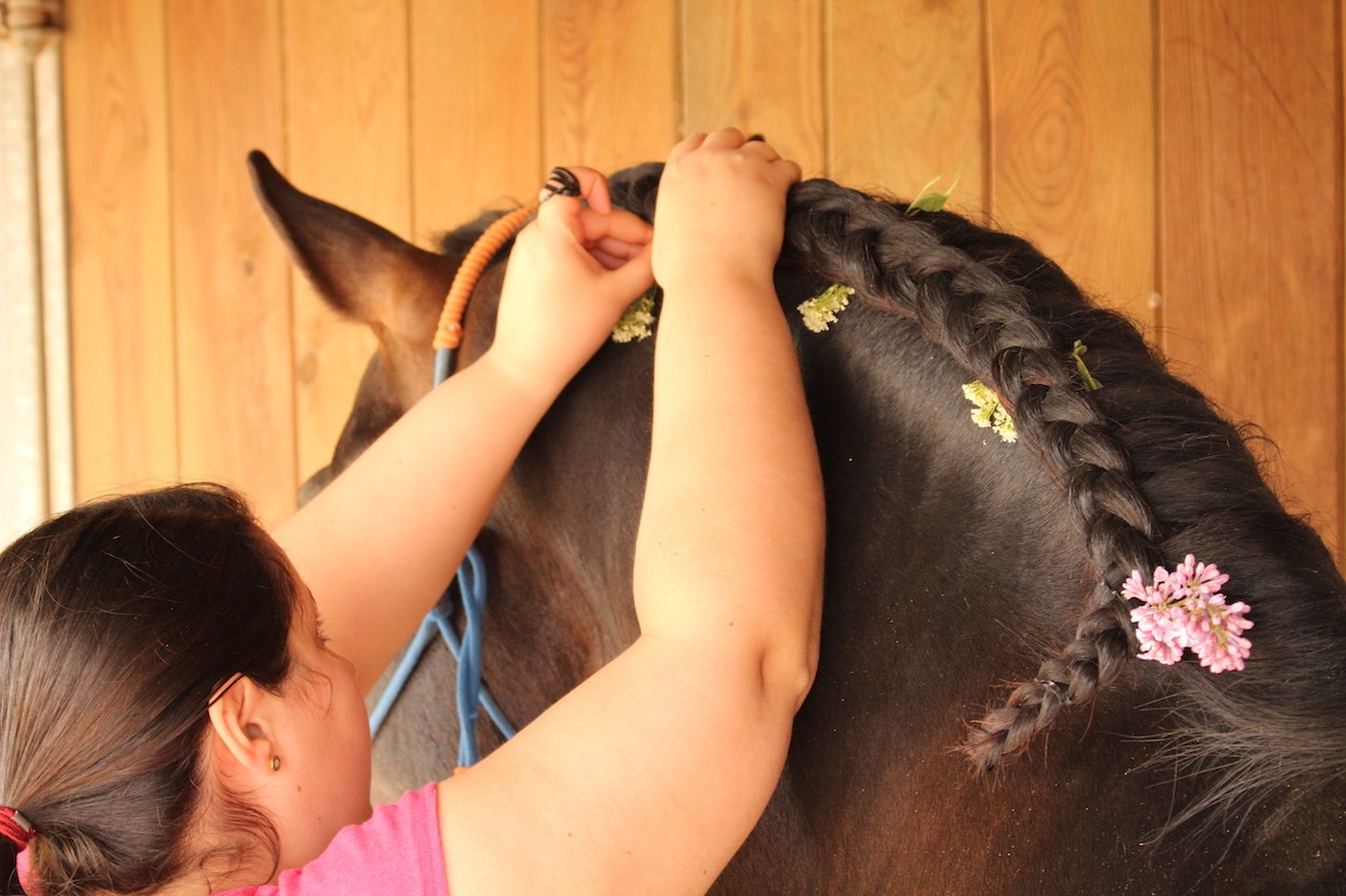A wedding planner putting flowers in a horse’s hair